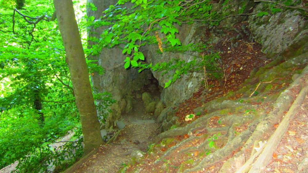 Wald