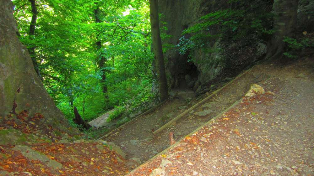 Wald