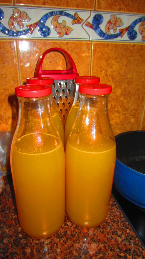 Mandarinensaft