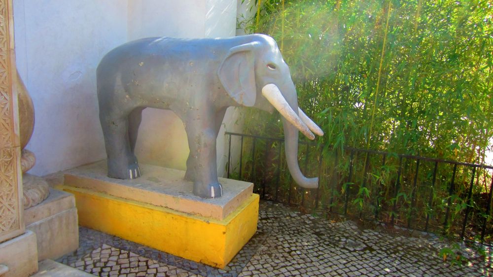 Elefant