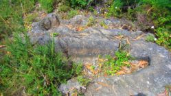 Sepultura Visigotica Madroeira