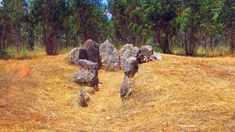 Anta 1 do Rego da Murta