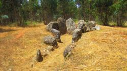 Anta1_d_Rego_da_Murta