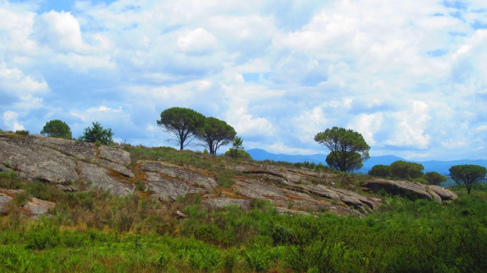 Anta Penedo da Vibora