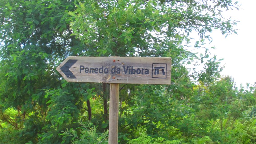 Anta Penedo da Vibora
