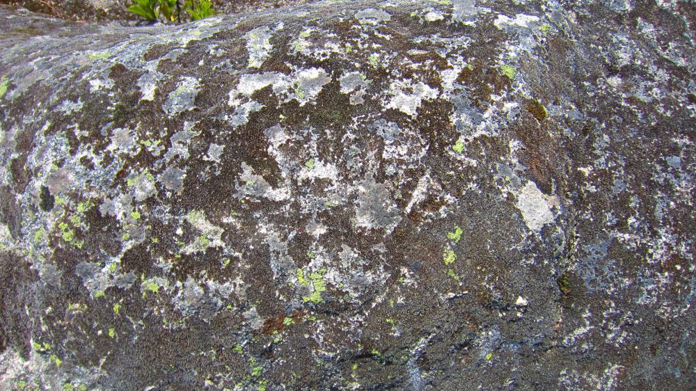 Gravuras do Ameal _ Hand