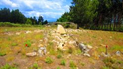 Anta Orquinha da Vibora