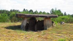 Anta Orca 1 do Ameal