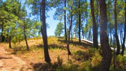 Mamoa do Cabeco de Anta