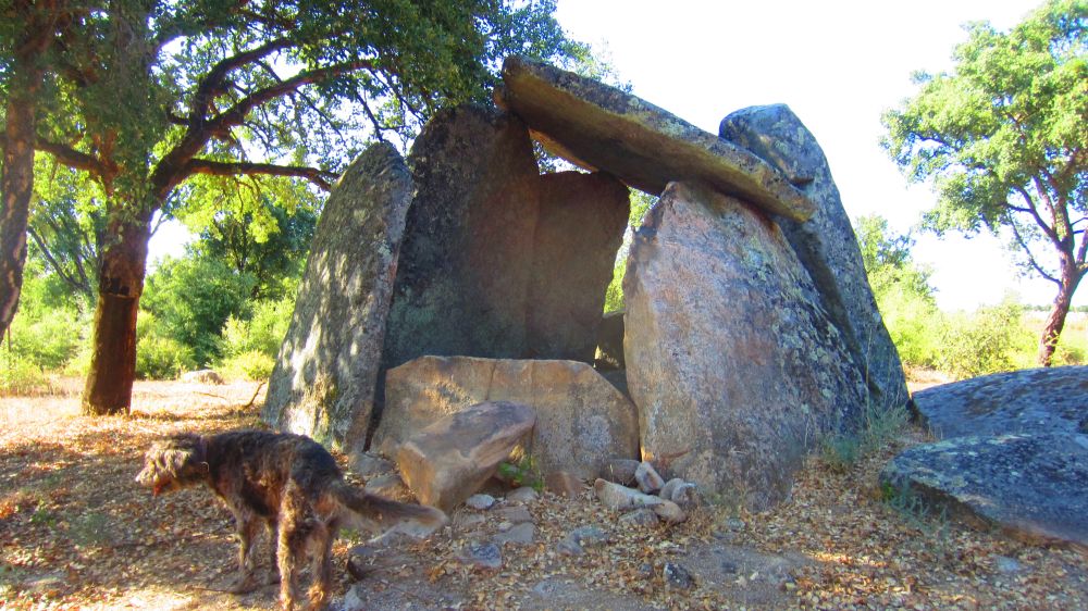 Anta1_dos_Saragonheiros