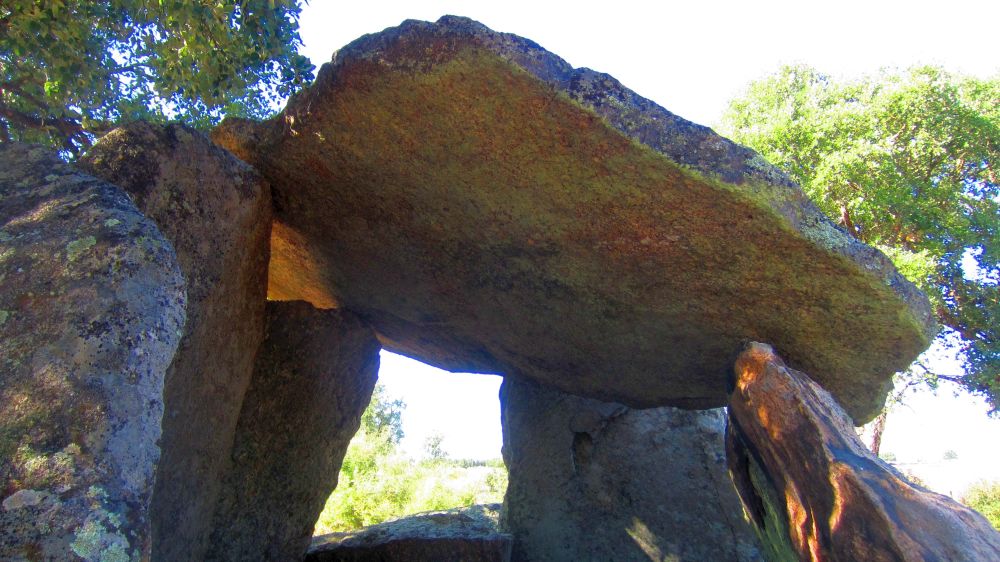 Anta1_dos_Saragonheiros