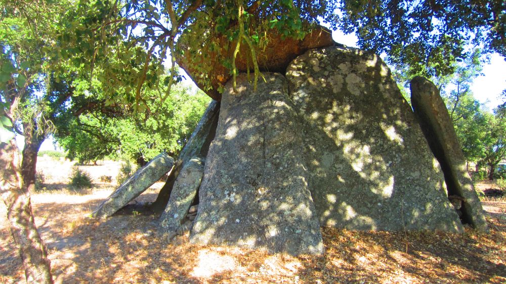 Anta1_dos_Saragonheiros