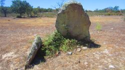 Anta dos Coureleiros I