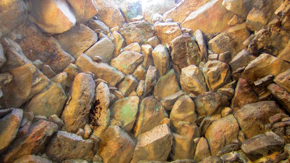 Chafurdao das Lancheiras