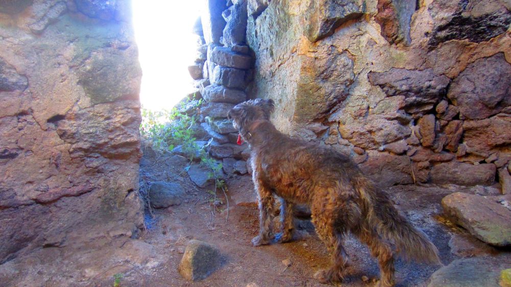 Chafurdao das Lancheiras