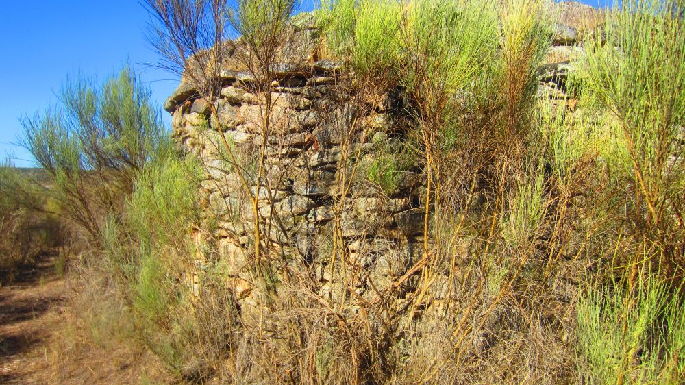 Chafurdao das Lancheiras