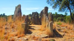 Anta_do_Foz_do_Rio_Frio