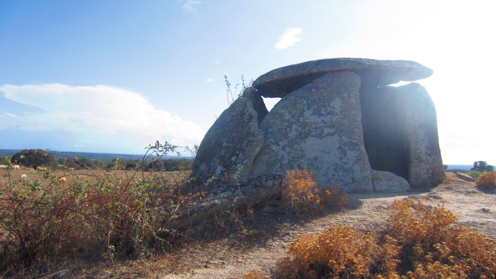 Anta do Tapadao