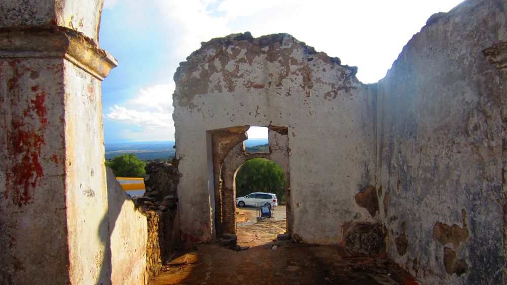 Catelo de Alter Pedroo