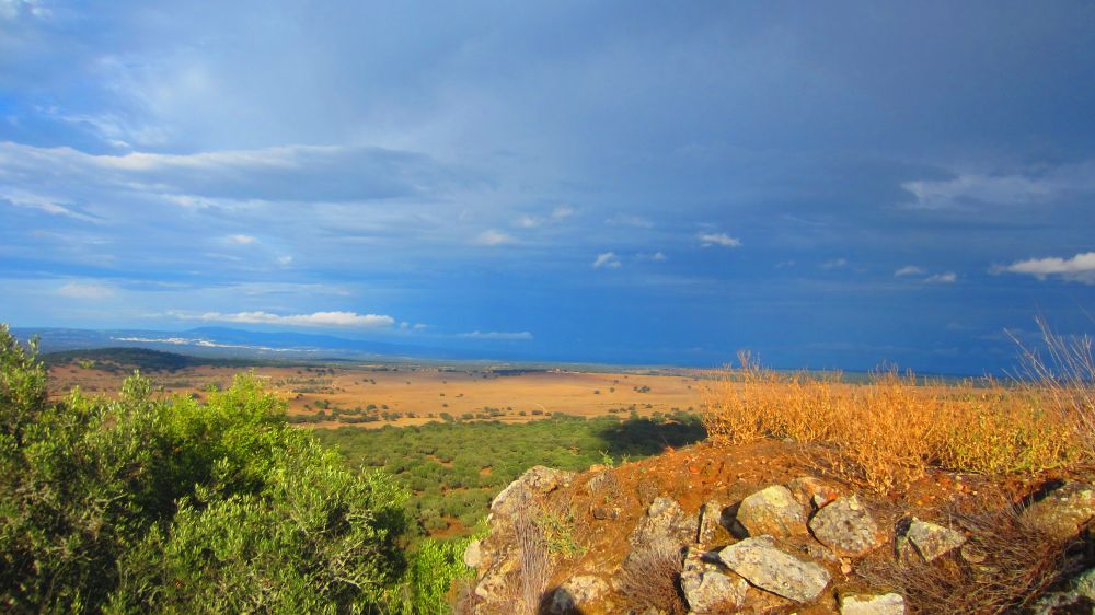 Catelo de Alter Pedroo