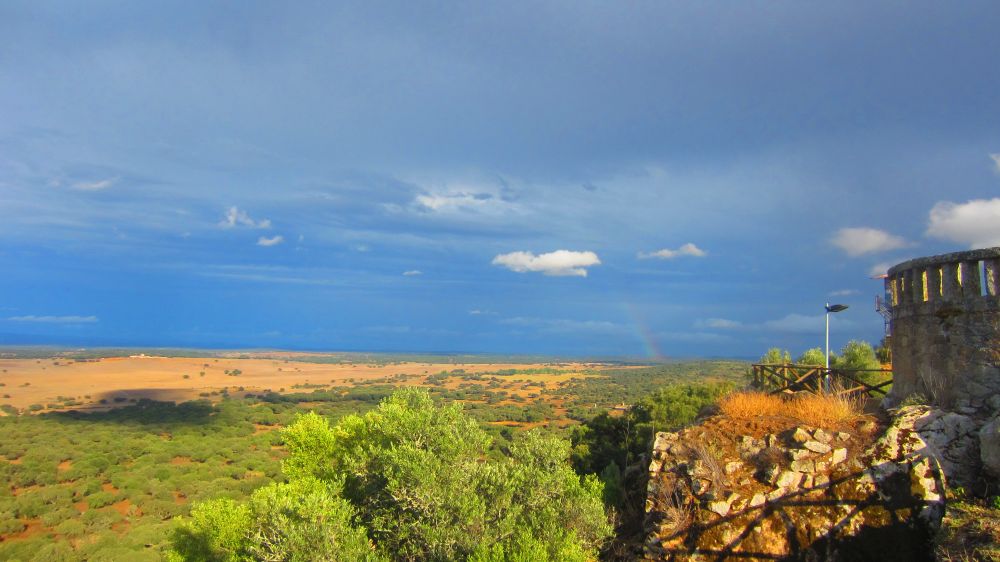 Catelo de Alter Pedroo