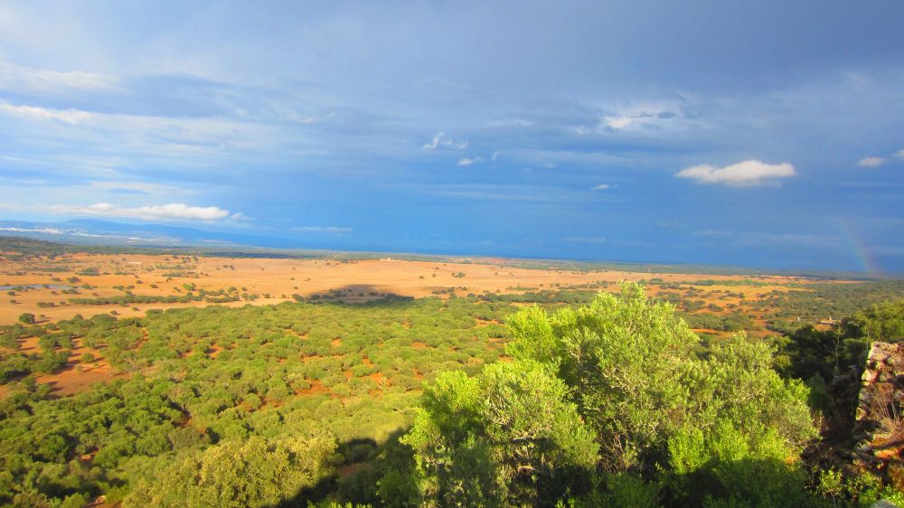 Castelo de Alter Pedroso