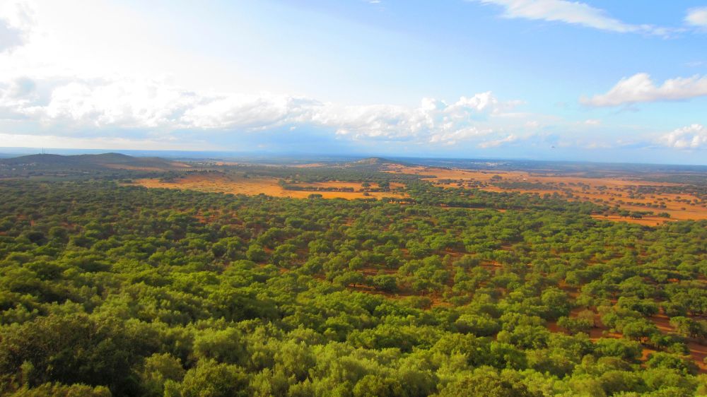 Castelo de Alter Pedroso