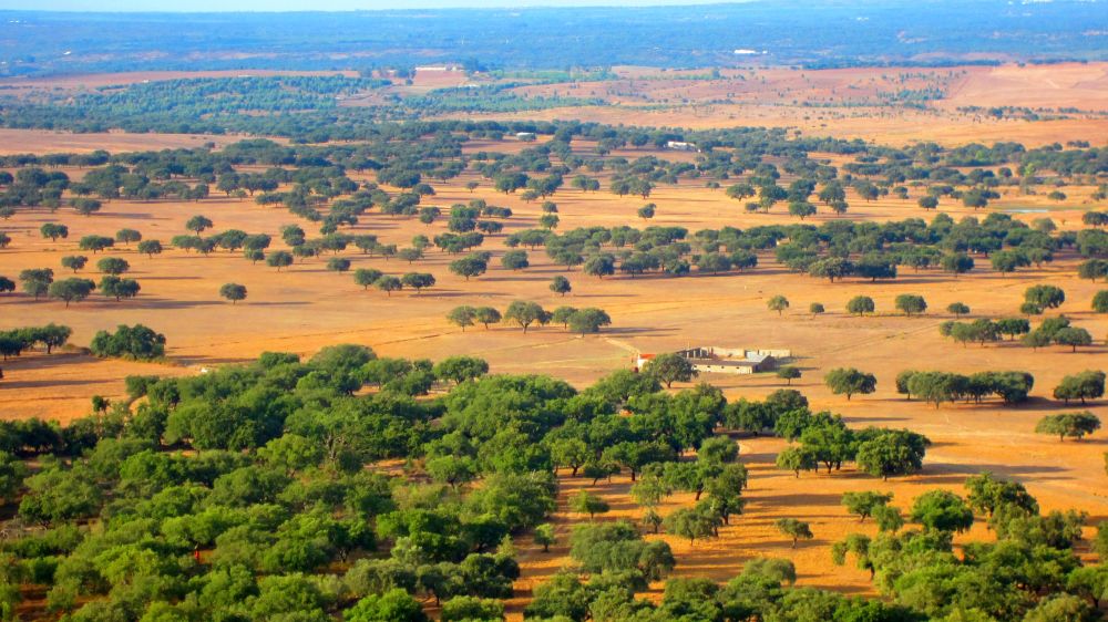 Castelo de Alter Pedroso