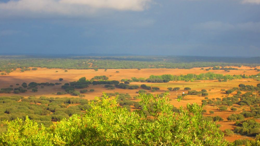 Castelo de Alter Pedroso