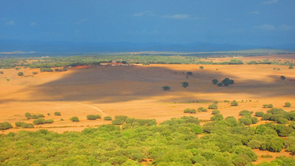 Castelo de Alter Pedroso
