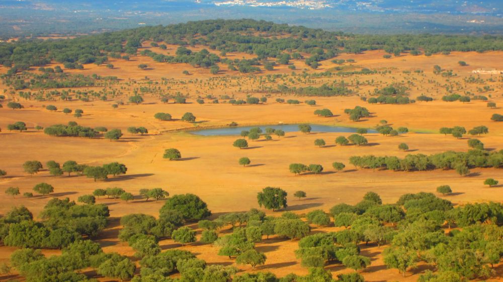 Castelo de Alter Pedroso