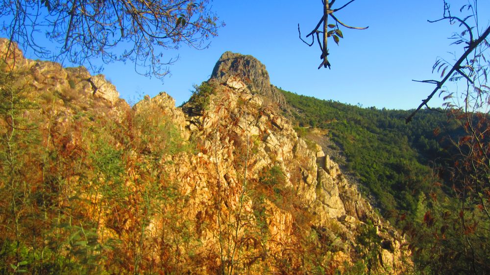 Felsen