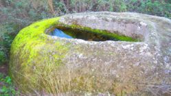 Sepultura_Tapada_do_Alcaide