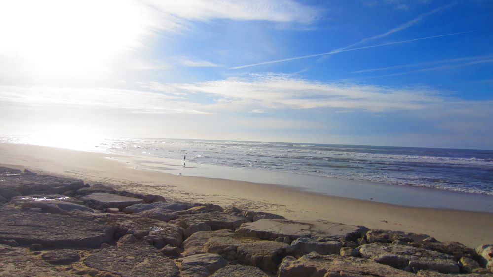 Strand_Pedrogao_Bertram