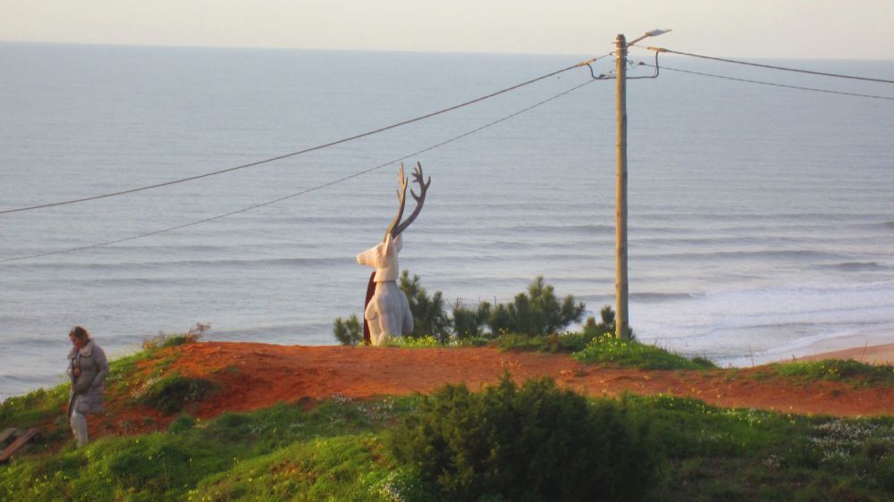 Deer in Nazare