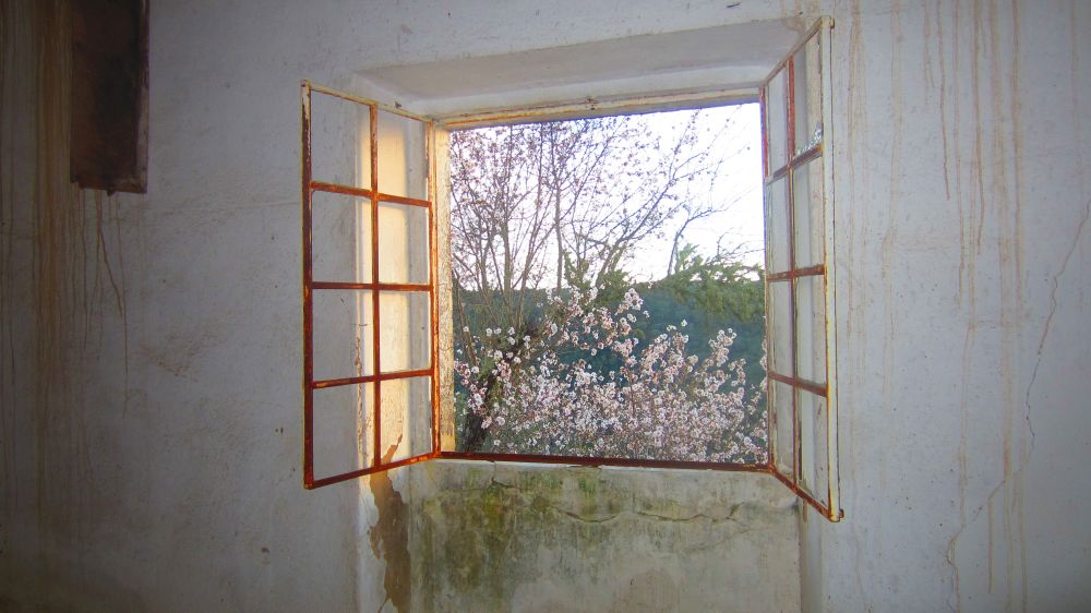 Ausblick aus Fenster