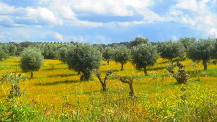 Alentejo