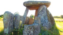 Anta da Pedra da Orca