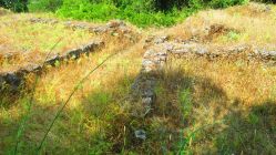 Castro de Santa Olaia