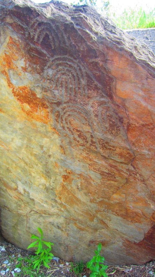 Taco 1, Felszeichnung