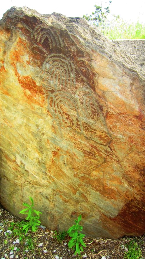 Taco 1, Felszeichnung