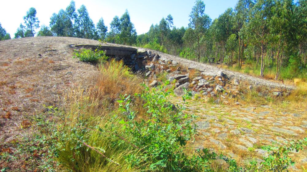 Anta Pintada de Antelas