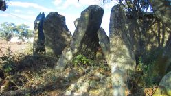 Anta dos Coureleiros IV