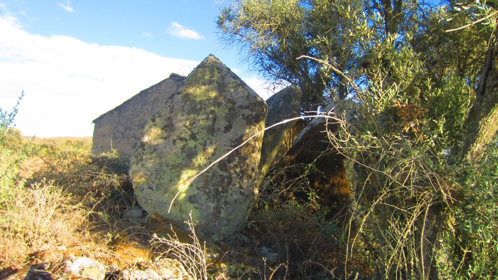 Anta_dos_Coureleiros_4