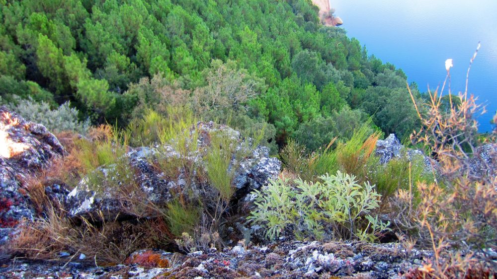Felsen am Santa Luzia-Stausee