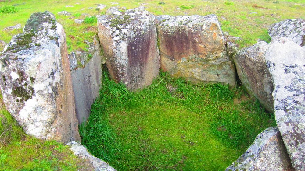 Anta_Pinheiro_dos_Abracos