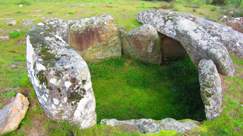 Anta_Pinheiro_dos_Abracos