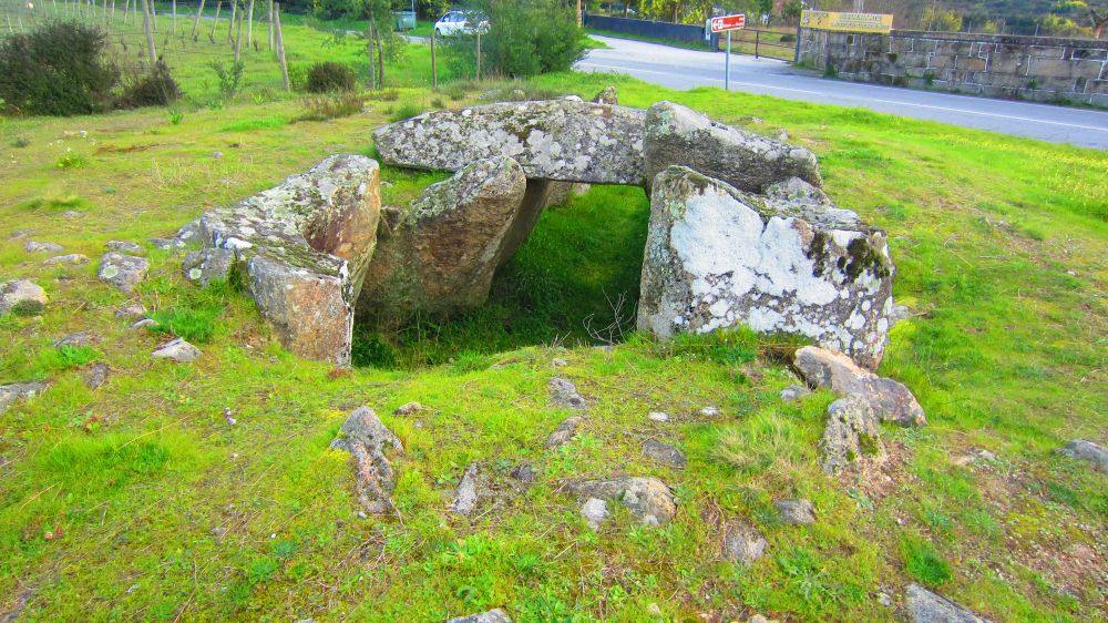 Anta_Pinheiro_dos_Abracos