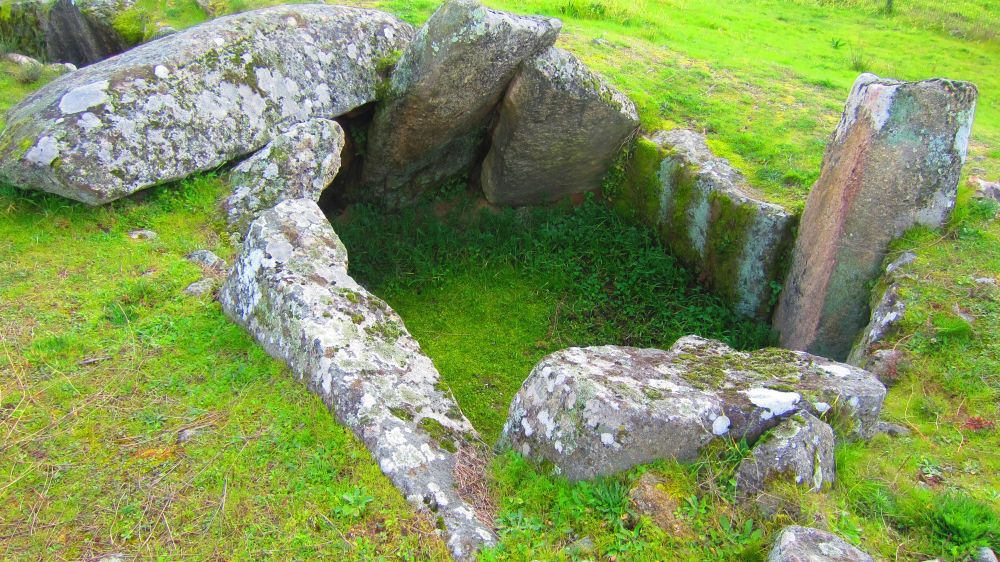 Anta_Pinheiro_dos_Abracos