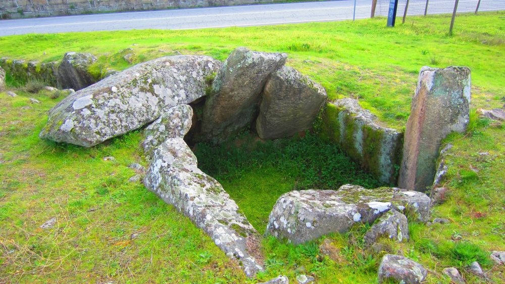 Anta_Pinheiro_dos_Abracos